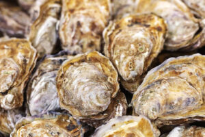 Hàu vỏ nguyên ngon