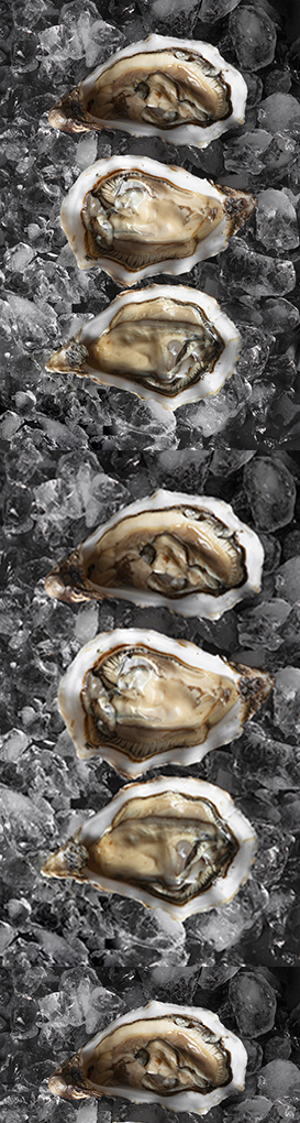 hau quang ninh com 2